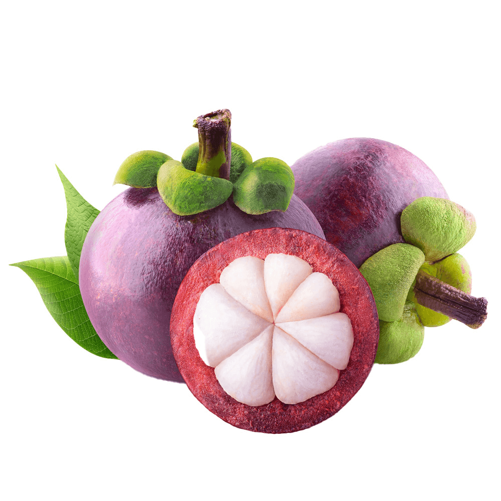 [KW051368] Thai Mangosteen