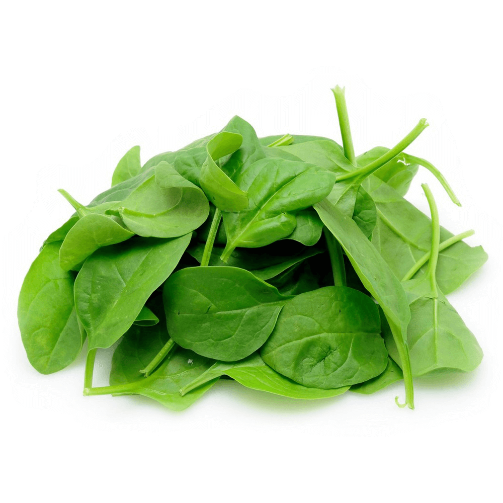 [KW050757] Natureland Organic Baby Spinach
