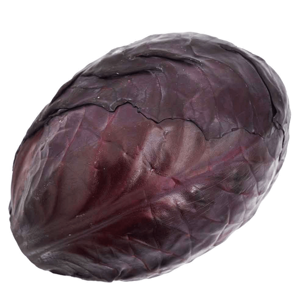 [KW050729] Natureland Organic Red Cabbage