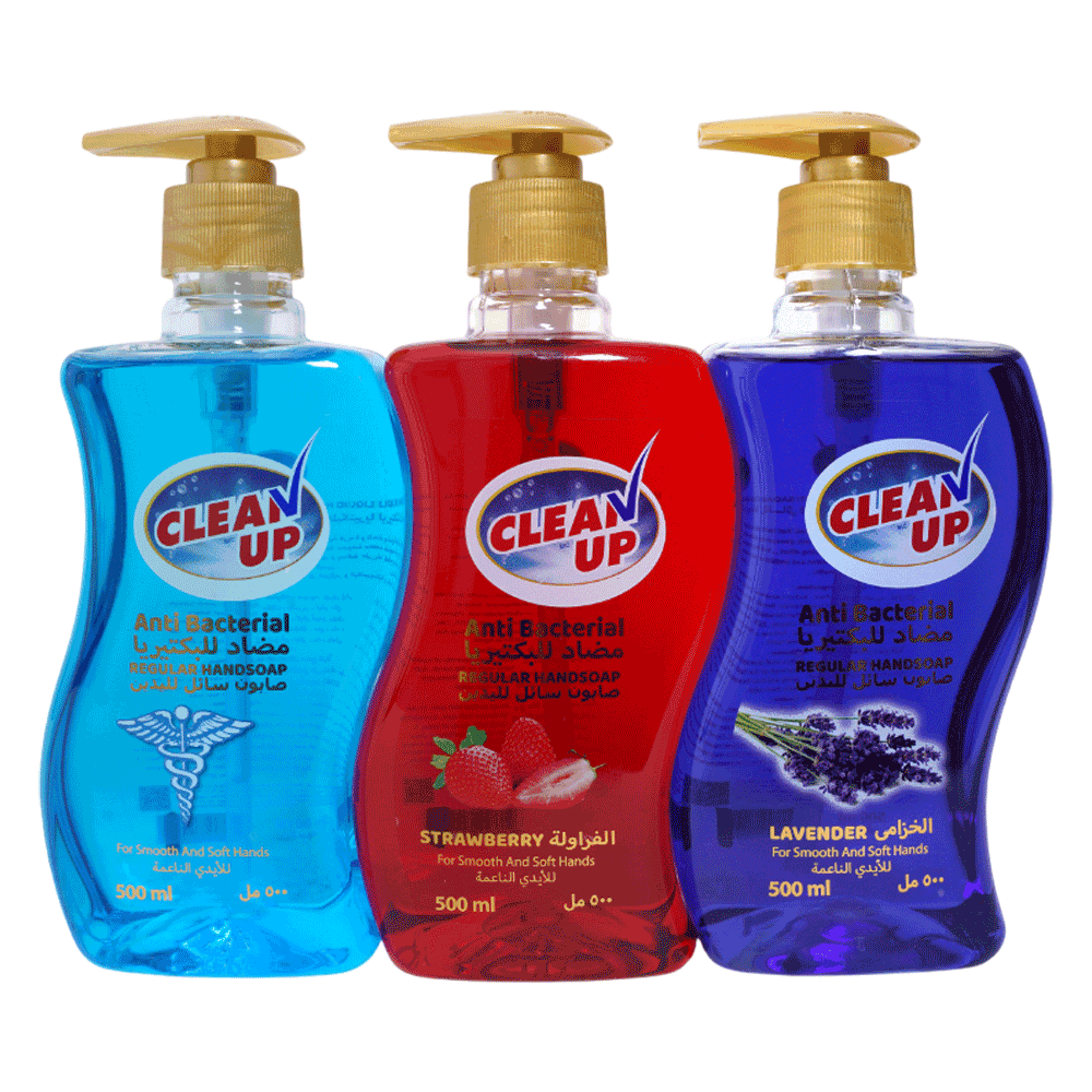 [KW089746] Clean up Anti-Bacterial Hand Soap 500ml 2+1 Free
