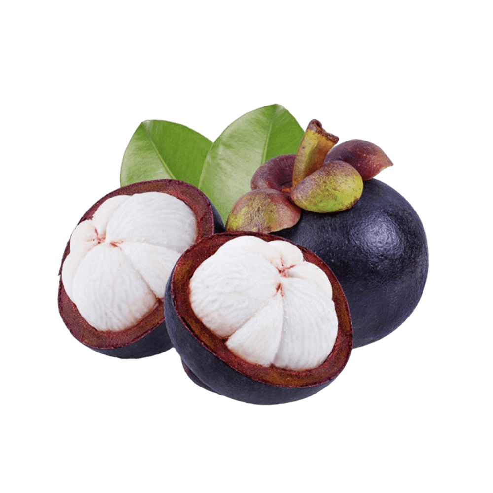 Mangosteen