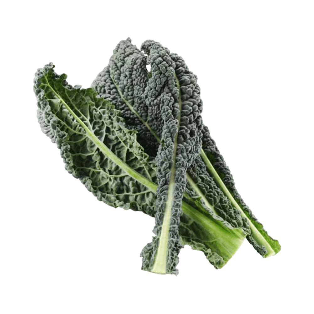 Kale Toskan 120 gm