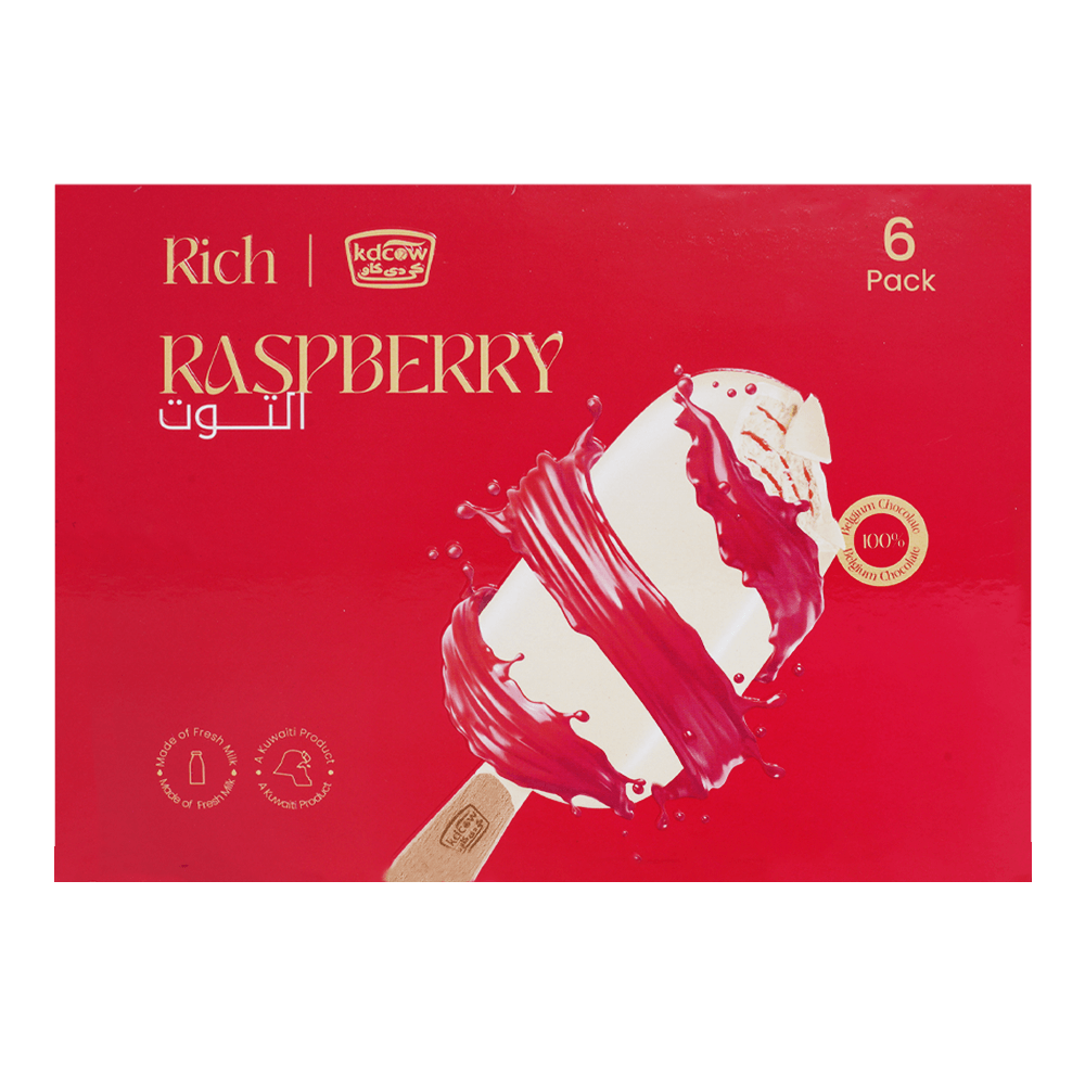 RICH Ice Cream Raspberry 100 ml 6 Pieces