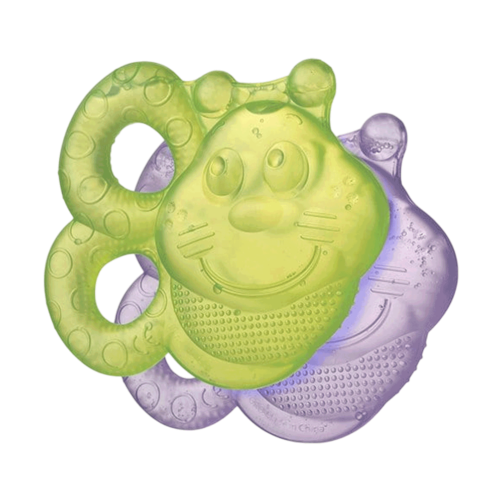 [KW088858] Playgro Water Teether Bee 2 Pcs  #PG0182213-2130