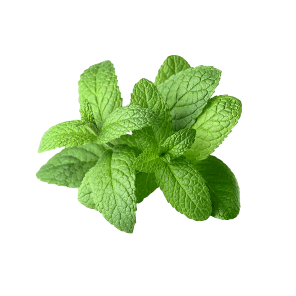 Peppermint 120 gm