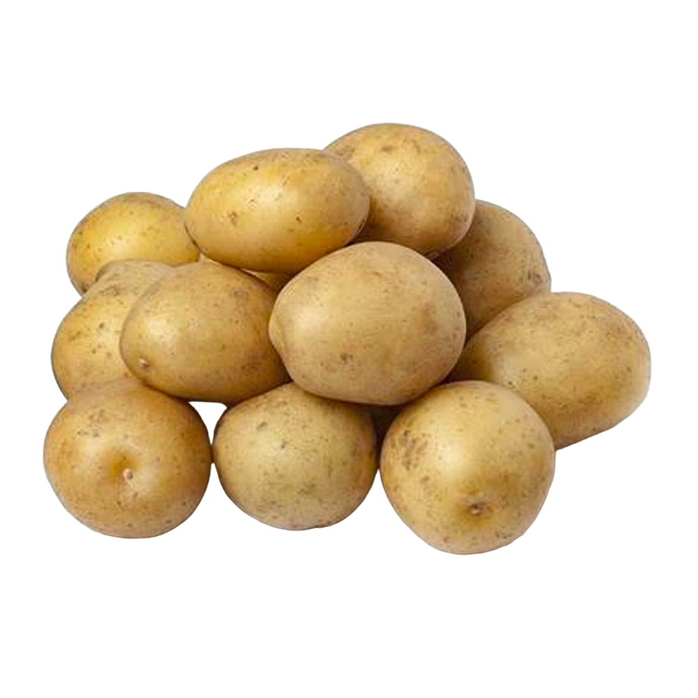 [KW076550] GoFresh - Baby Potato