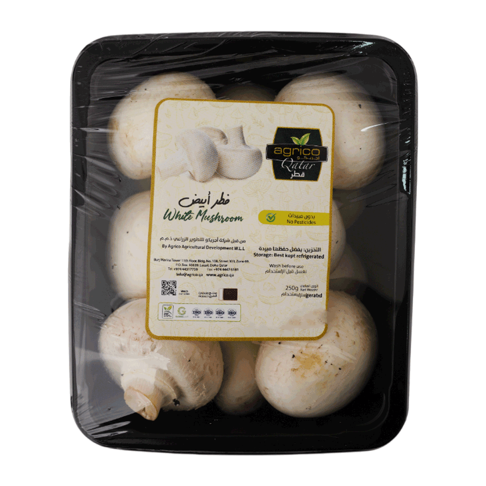 Qatari White Mushroom