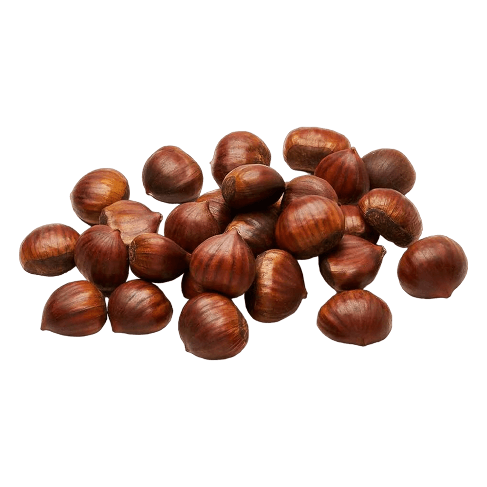 Turkish Chestnut