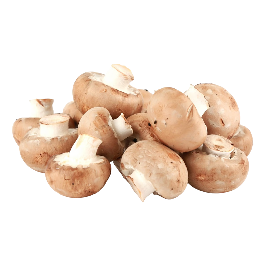 [KW078090] Kuwaiti Brown Mushroom 250gm