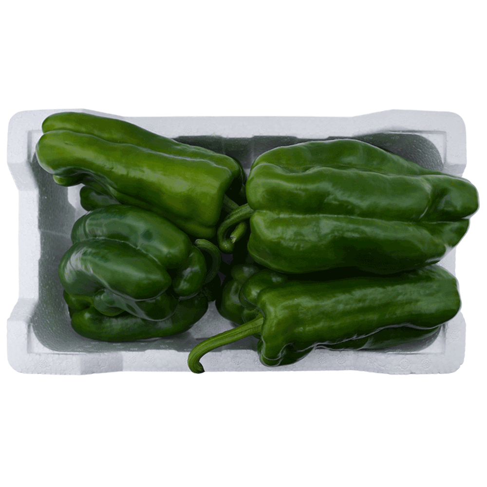 Kuwaiti Fresh Green Capsicum – Foam Box