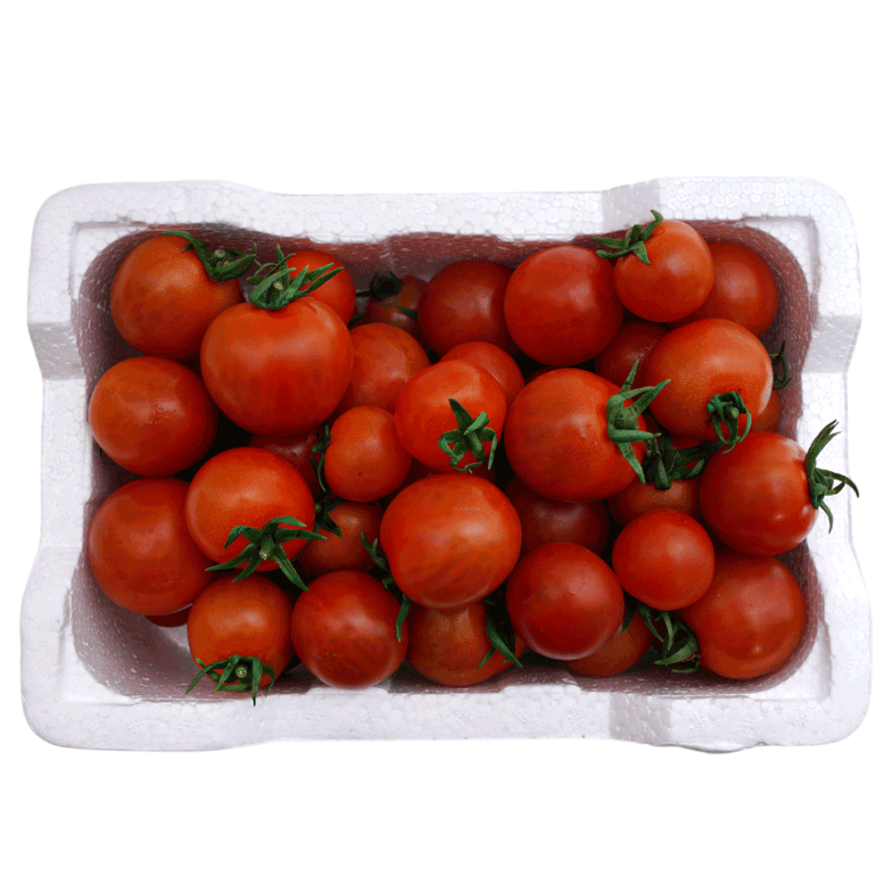 [KW094715] Kuwaiti Fresh Organic Cherry Tomato – Foam Box