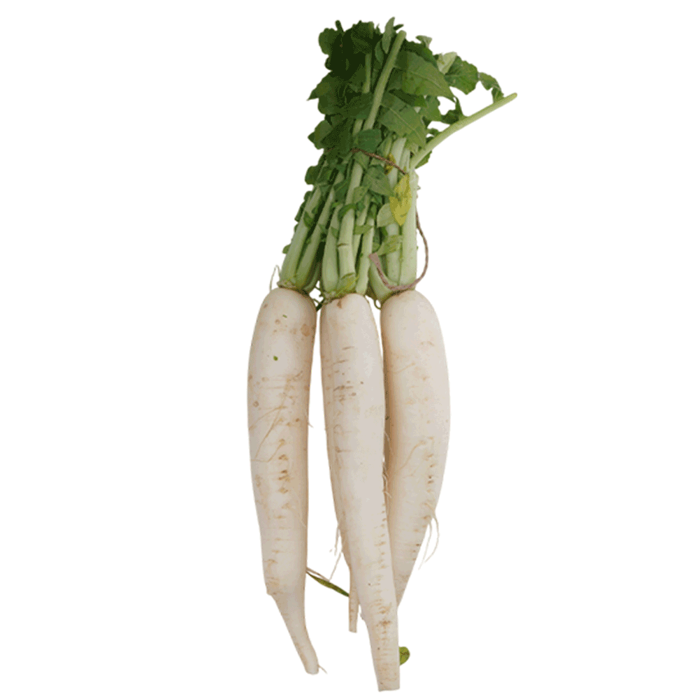 Kuwaiti Fresh White Radish
