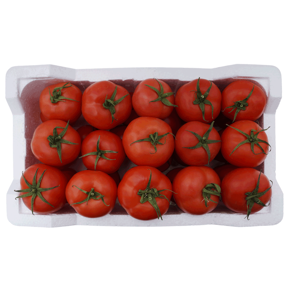 [KW094524] Kuwaiti Fresh Tomatoes – Foam Box