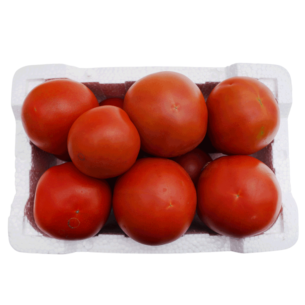 Kuwaiti Fresh Organic Tomato – Foam Box