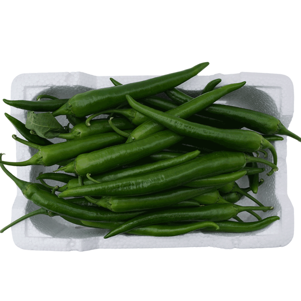 [KW094530] Kuwaiti Fresh Green Chilli – Foam Box