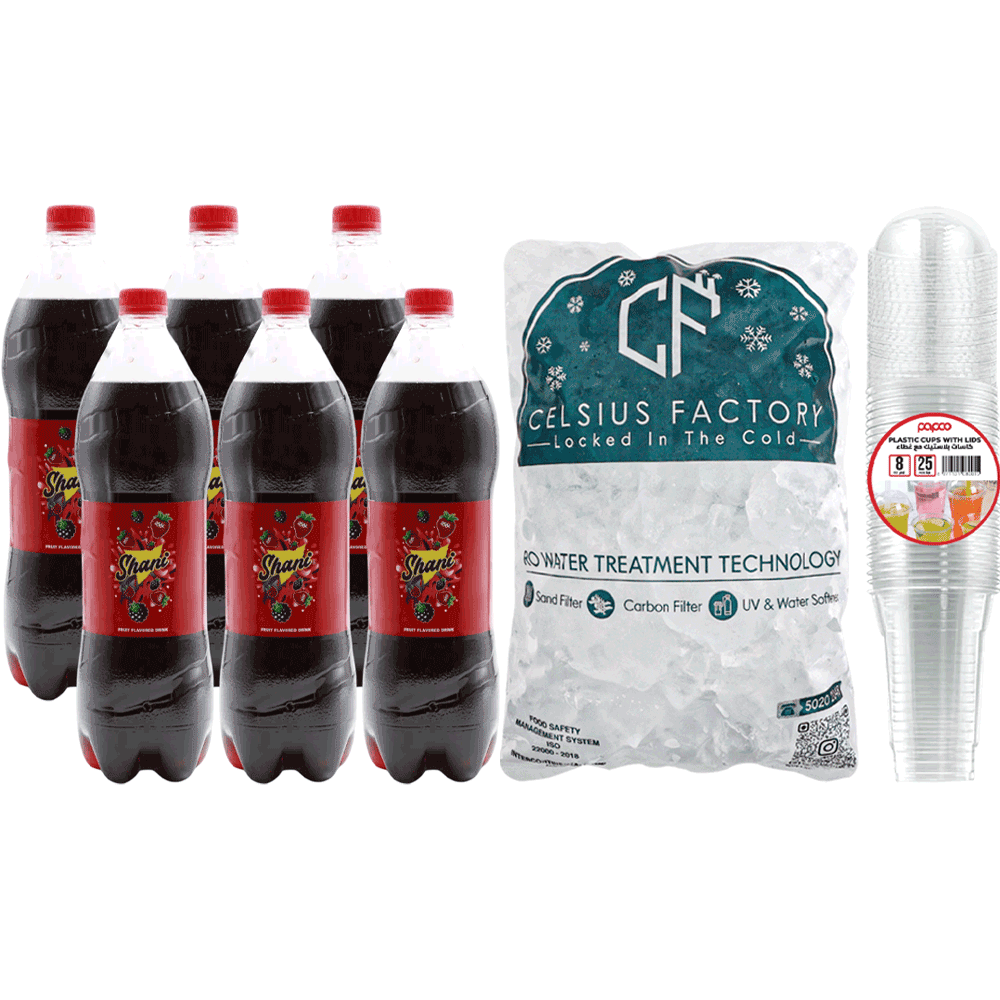 Shani + Ice Cubes + Plastic Cups with Lids